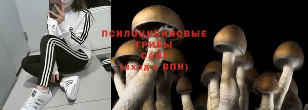 MDMA Абдулино