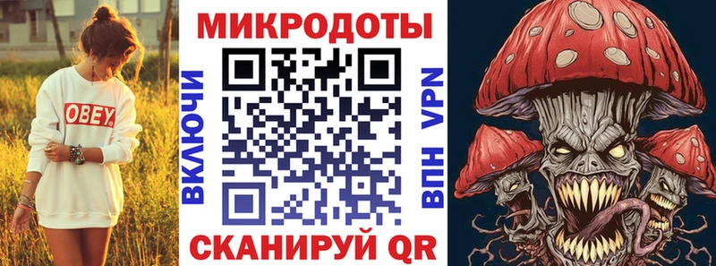 продажа наркотиков  Кирсанов  Галлюциногенные грибы Psilocybe 